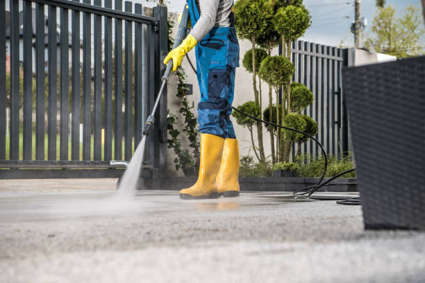 Best Roof Pressure Washing  in Fanwood, NJ